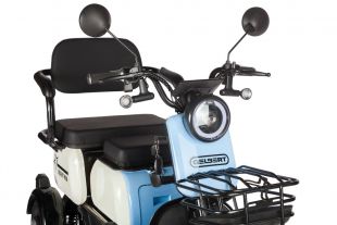 Электротрицикл Rutrike Gelbert Vega 48V/60V 600Вт
