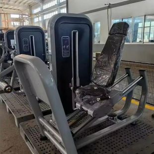 Жим ногами Insight Fitness TY16 (120 кг)