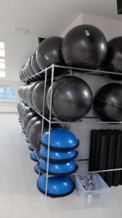 BOSU (Босу полусфера) с эспандерами и насосом GLT Fitness