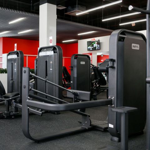 Жим ногами DHZ (Leg Press)