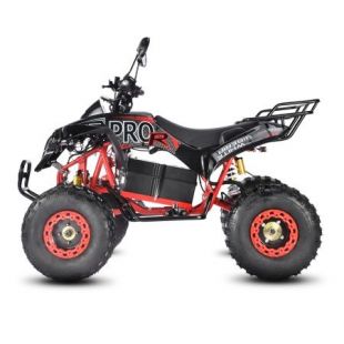 Электроквадроцикл WHITE SIBERIA SNEG PRO R 3000W