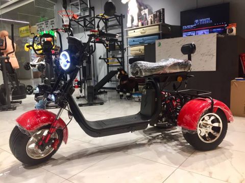 Электротрицикл WHITE SIBERIA PRO TRIKE 3000W